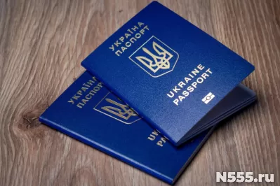 Паспорт Украины, ID-карта – купить, оформить, официально фото