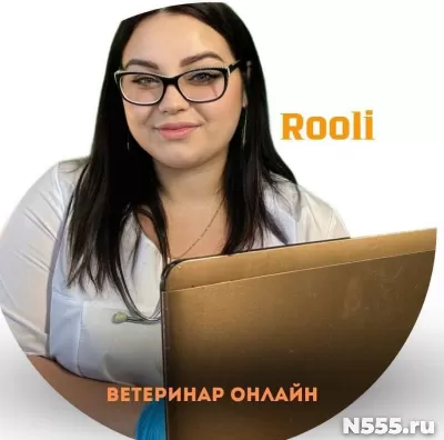 Ветеринар/Консультация 24/7